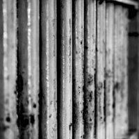 아제르바이잔: 그래피티 활동가에 징역 10년형, 비판 억압