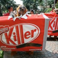 팜오일 속 인권침해, 즉각 중단하라!