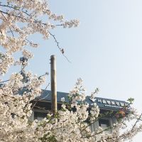 앰네스티 사무국의 3월