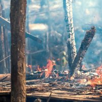 “당신 동생은 죽었다” 미얀마 군인이 말했다