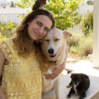 “폭력의 악순환을 끊기 위해” – 이스라엘 양심에 따른 병역거부자, 하다스