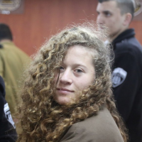 16세 팔레스타인 활동가 아헤드 타미미를 석방하라