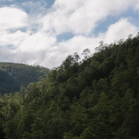 아메리카: 환경 인권활동가 보호하는 조약 체결, 중대한 진전