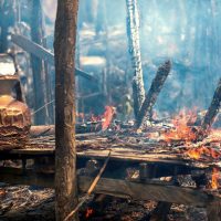 미얀마군, 법의 심판을 받으라