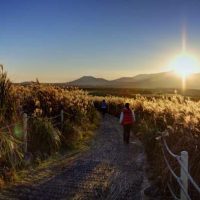 한국, 진전은 있었지만 예멘 난민 신청자 더 지원해야