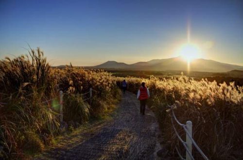 한국, 진전은 있었지만 예멘 난민 신청자 더 지원해야