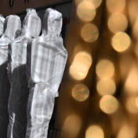 인권으로 보는 아카데미 후보작