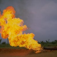 국제앰네스티, 화석연료기업에 대한 투자 철회 결정