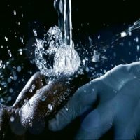 CIA에서 자행한 고문과 이에 공조한 유럽 국가들