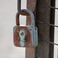 코로나19 가운데 안전을 위협받는 남아프리카 여성들