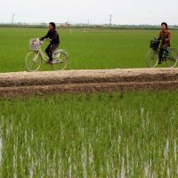 북한인권: 북한의 식량난, 그리고 식량권