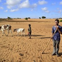 한국: 대통령님, 불충분한 기후대응은 인권침해입니다.
