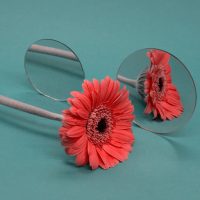 EP 2. 요즘 애들은 정치에 무관심하다, 도대체 누가 ‘요즘 애들’이지?ㅣ캔라클 유스 인터뷰