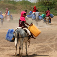 전 세계: 유엔 위원회, “각국은 기후변화와 환경 피해로부터 아동의 권리를 보호해야 한다”