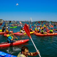 호주: COP28을 앞두고 석탄 반입 항구를 막은 카약 시위대 100명 이상 기소