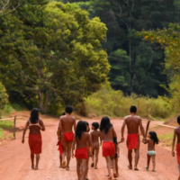 글로벌: 유엔 특별보고관, 탄소 시장에 대한 인권 문제 제기