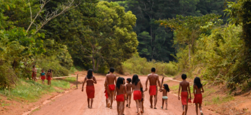 글로벌: 유엔 특별보고관, 탄소 시장에 대한 인권 문제 제기