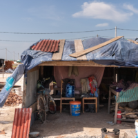 캄보디아: 원숭이들에게는 천국, 사람에겐 지옥? 앙코르와트 대규모 강제퇴거