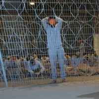 이스라엘, 가자지구의 팔레스타인인에 대한 대규모 구금과 고문 중단해야