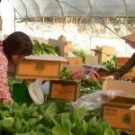 농축산업 이주노동자의 인권을 보장하라