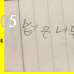 [인터뷰 리포트 #05] 한국에서 부딪힌 벽