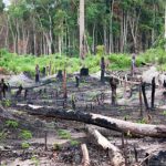 그 집은 내 삶이었다: 대대손손 살던 숲에서 쫓겨난 선주민