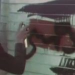 이란, 다큐멘터리 영화감독 6년형과 채찍질 223대 선고