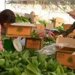 한국: 농축산업 이주노동자 인권유린 끝내야