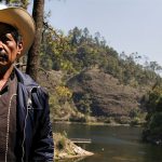 멕시코: 불법 벌목에 반대하던 활동가 석방해야