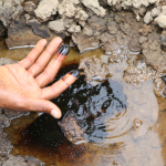 나이지리아: 니제르델타 기름오염에 대해 또 다시 드러난 쉘의 거짓말