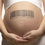 자궁을 빌려드립니다