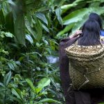 페루: 터전을 지키려다 죽임 당한 사람들(UA72 9/17~9/24)