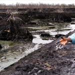 쉘! 니제르 델타 기름유출을 인정하고, 배상하고, 정화하라!