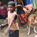 포스코 제철소 건설로 삶의 터전을 잃은 사람들