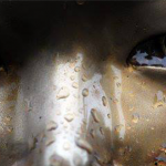 세계가 요구한다. 할머니에게 인권과 정의를!